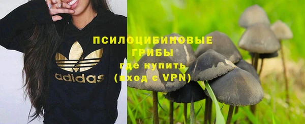 эйфоретик Козельск