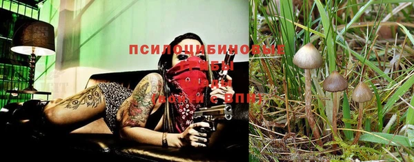 прущая мука Козловка