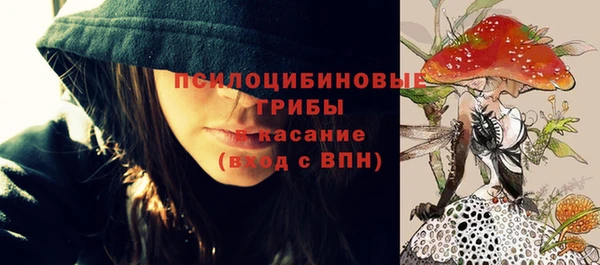 гашик Кодинск