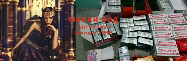 гашик Кодинск